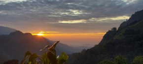 meditation monastery stay